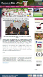 Mobile Screenshot of festivaldecinelasolana.com